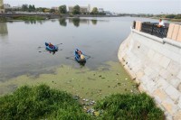 1253527126_yekologicheskaya-akciya_6