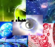65488328_9f702082e375