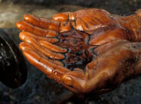 bigoilinhands_669