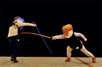 fencing-pic